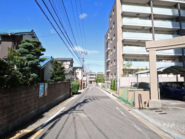 敷地の西側前面道路（南側から）