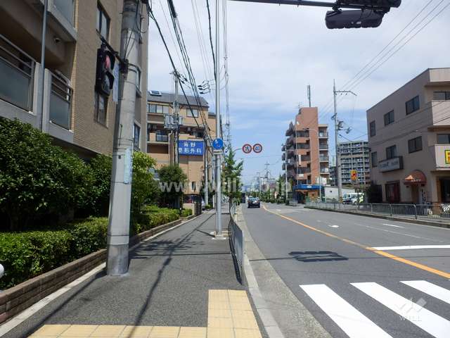 敷地東側の前面道路