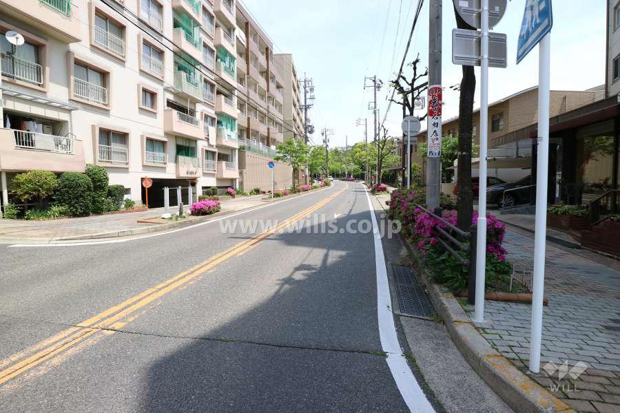 敷地南側の前面道路(西側から)