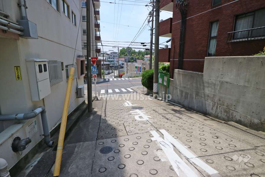 敷地西側の前面道路(北側から)