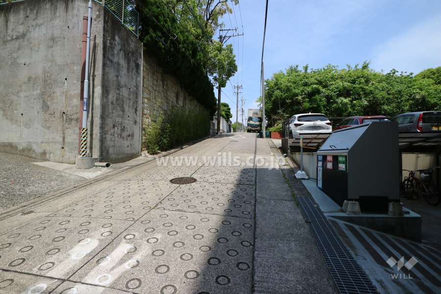 敷地西側の前面道路(南側から)