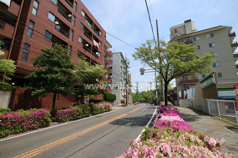 猫ケ洞コーポの遠景