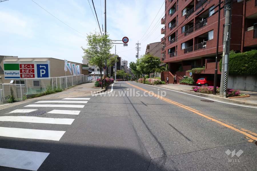 敷地南側の前面道路(東側から)