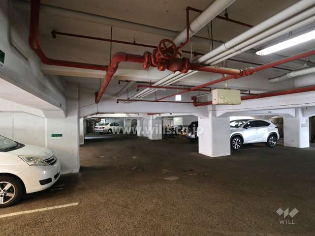 敷地内駐車場（屋内平面式）