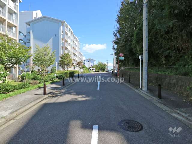 敷地東側の前面道路（西側から）