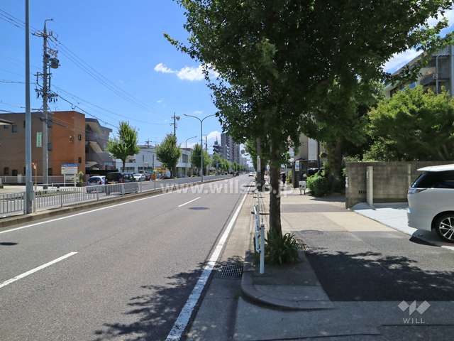 敷地の東側前面道路（北側から）