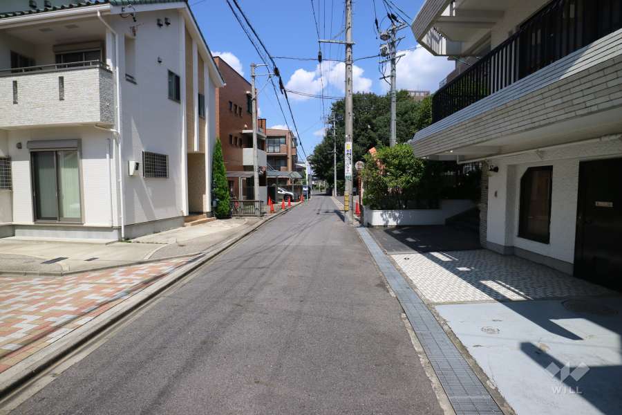 敷地の西側前面道路（南側から）