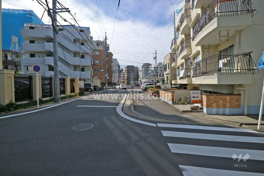 敷地東側の前面道路