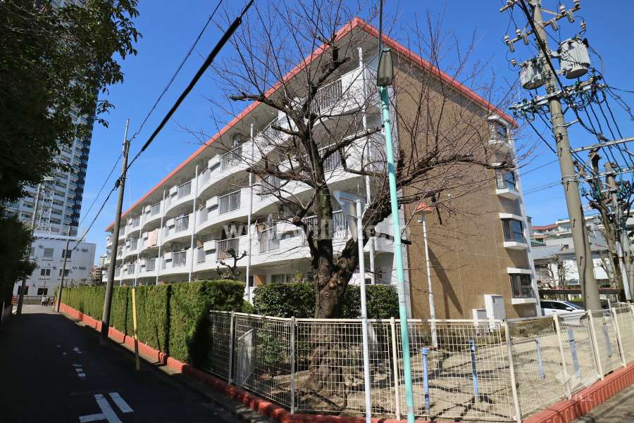 池下住宅の外観（南東側から）