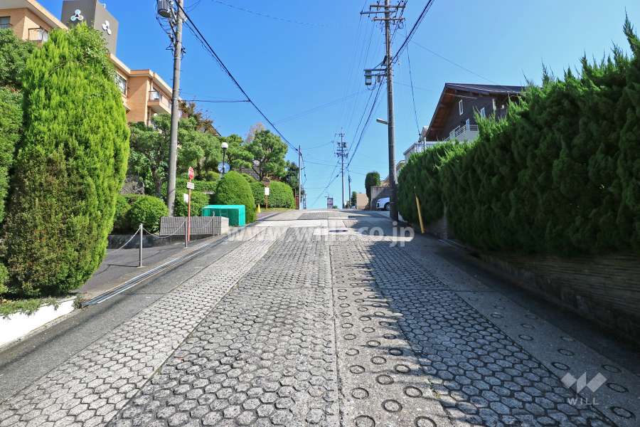 敷地南側の前面道路