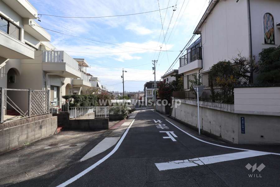 敷地南西側の前面道路（北西側から）