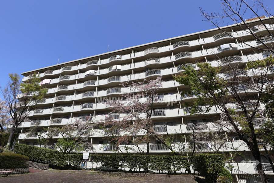 コミュニタス千代が丘N棟の外観（南東側から）