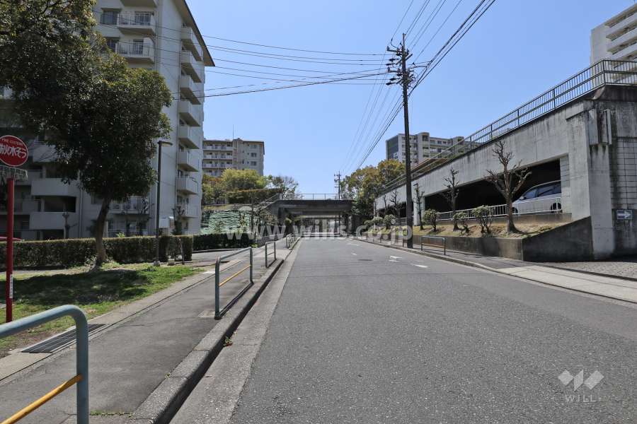 敷地西側の前面道路（北側から）