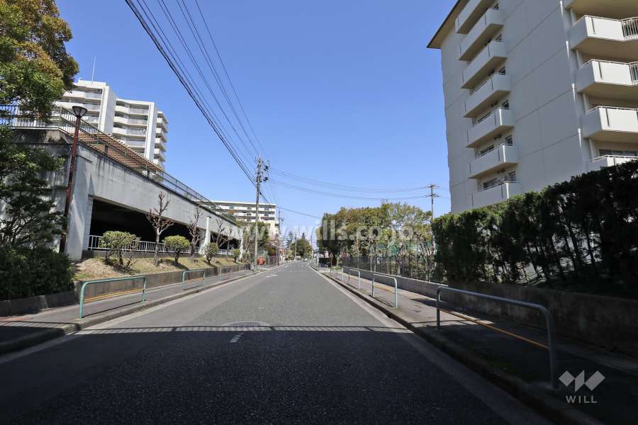 敷地西側の前面道路（南側から）