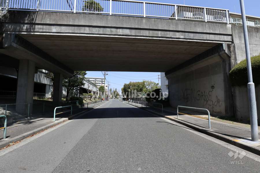 敷地西側の前面道（南の側から）