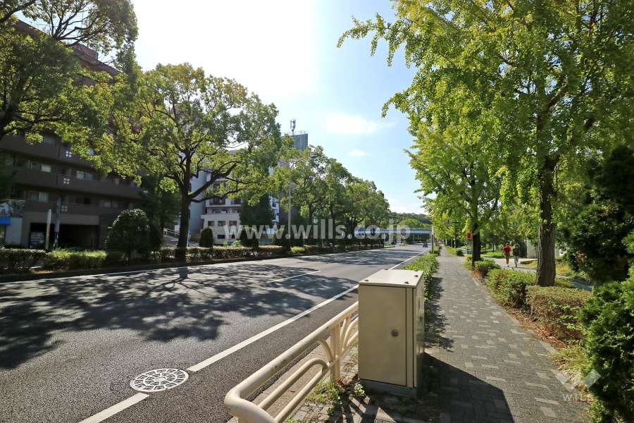 敷地北側の前面道路（３車線のバス通りです）