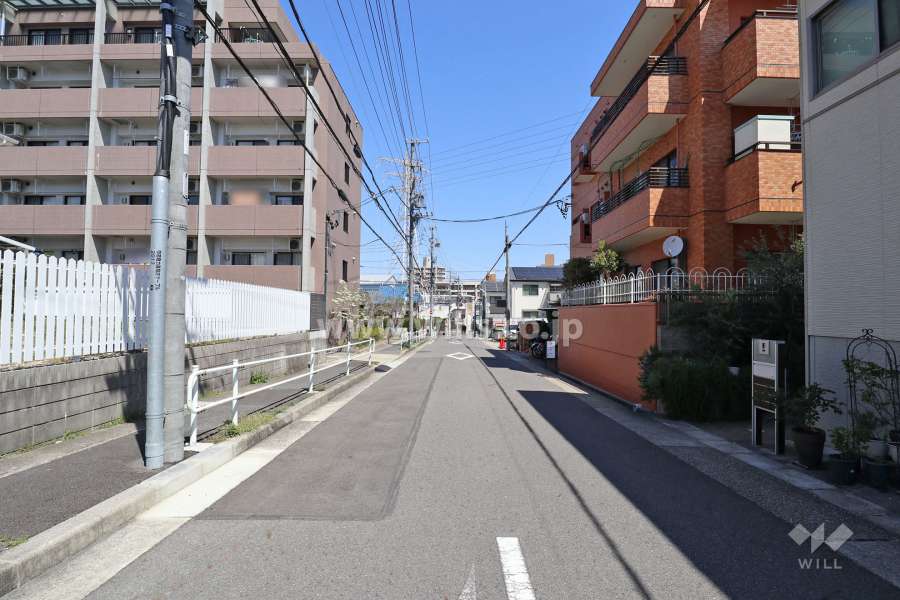 敷地の西側前面道路（南側から）