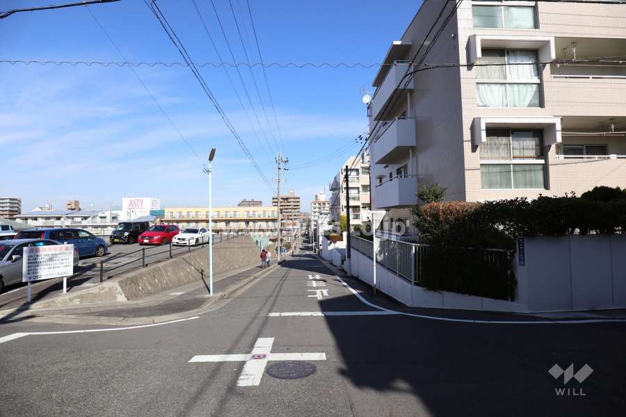 敷地西側の前面道路（南側から）