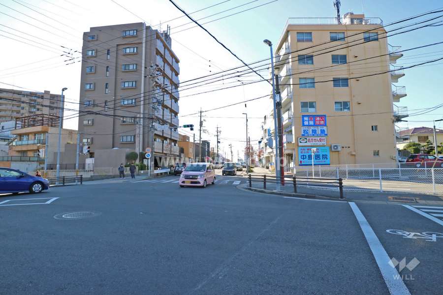敷地北東側の交差点（交通量が多い）