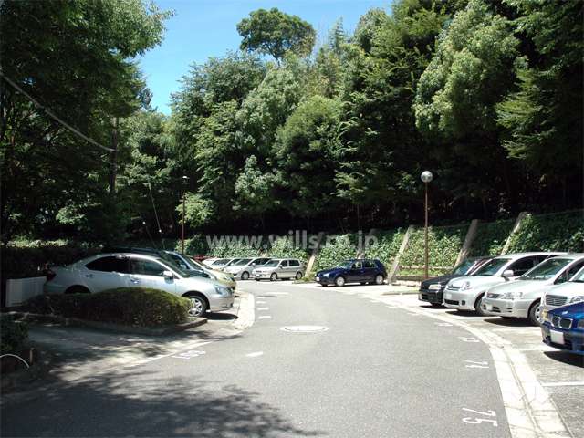 敷地内駐車場（平面式）　敷地の周囲は緑豊かです。
