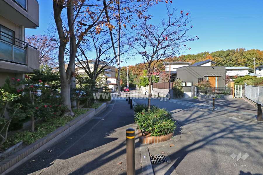 敷地南側の前面道路