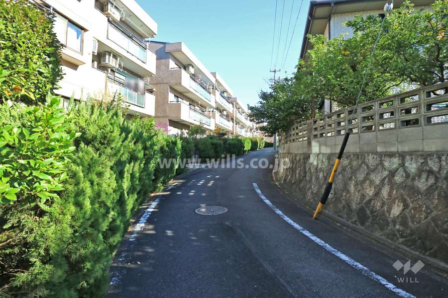 敷地南側の前面道路