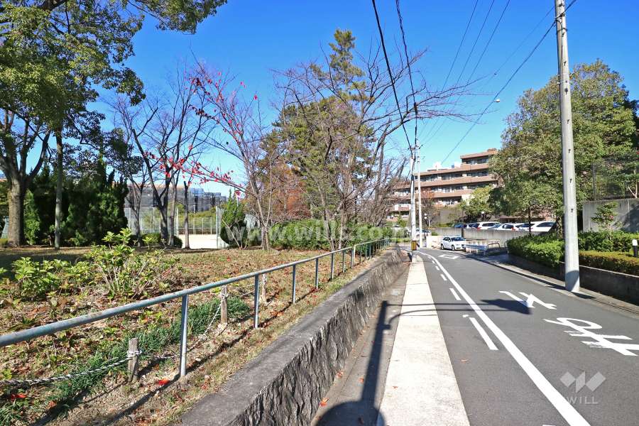 敷地南西側の前面道路２（写真左手に揚羽公園があります）