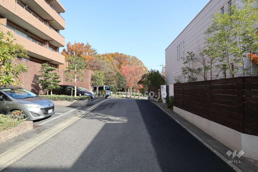 敷地南側の前面道路（西側から）