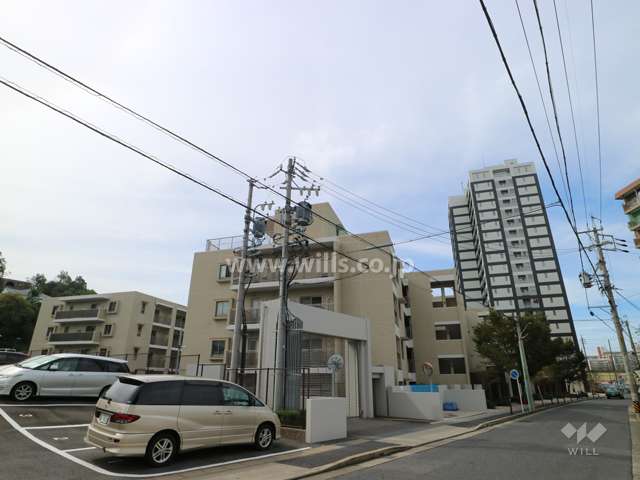 敷地北側の前面道路（西側から）