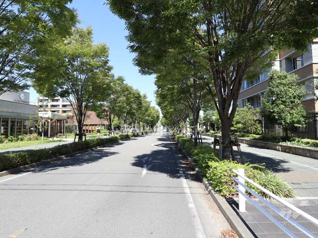 敷地西側の前面道路（南側から）