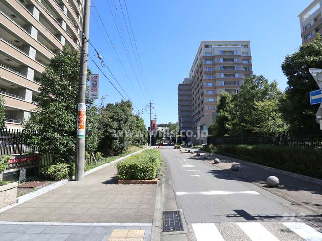 敷地南側の前面道路（西側から）