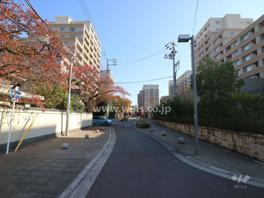 敷地南側前面道路