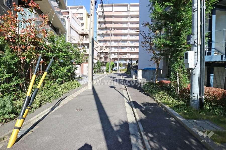 敷地東側の前面道路