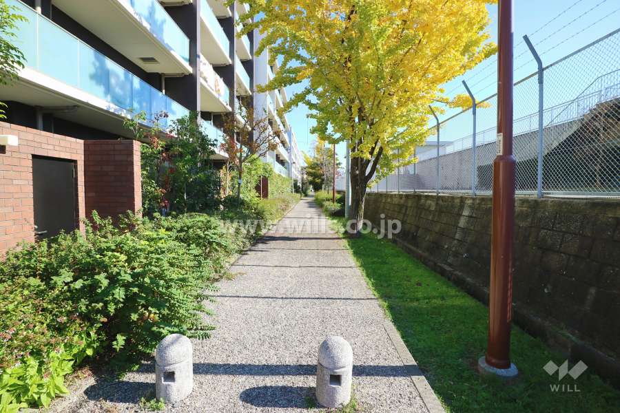 敷地南側の細道