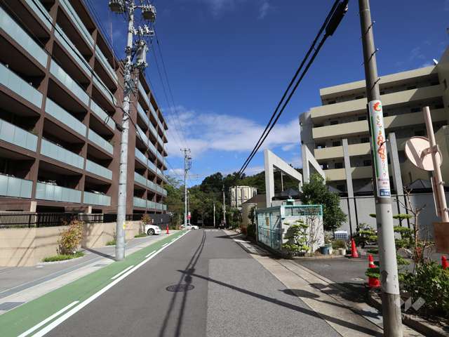 敷地南側の前面道路(西側から)