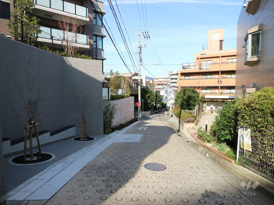 敷地東側の前面道路（南側から）