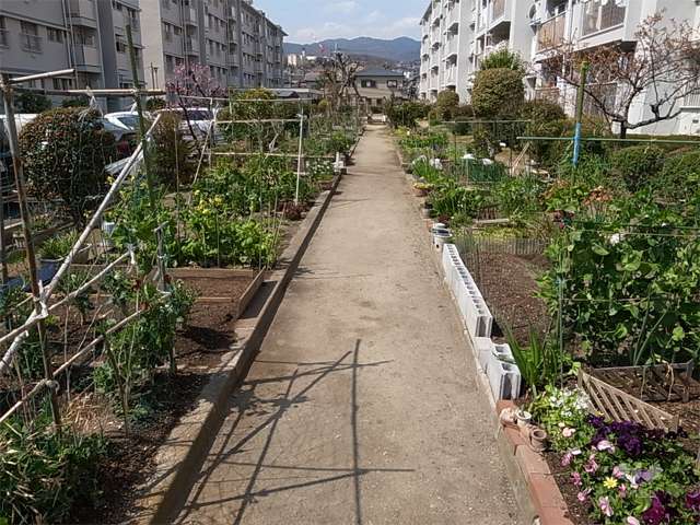 敷地内の家庭菜園スペース