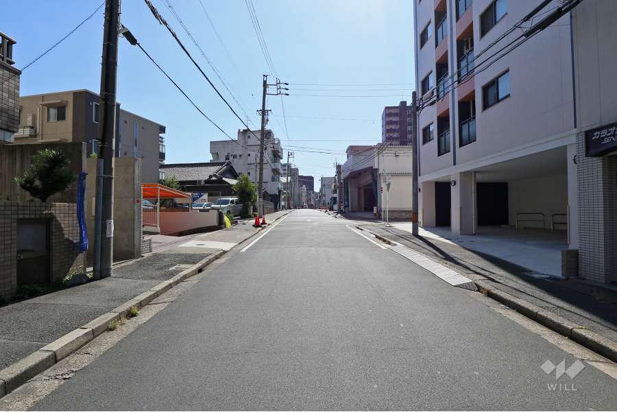 敷地西側の前面道路（南側から）
