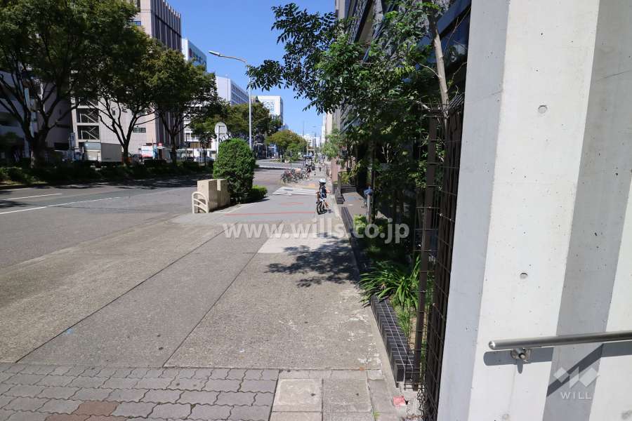 敷地の西側前面道路（南側から）