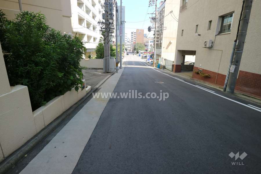 敷地の南側前面道路（西側から）