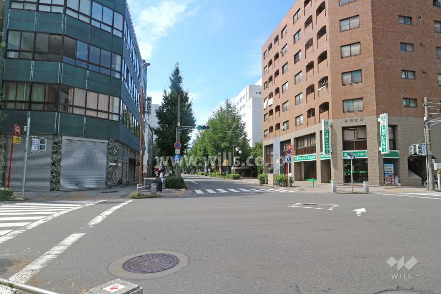 敷地南側の前面道路（東側から）