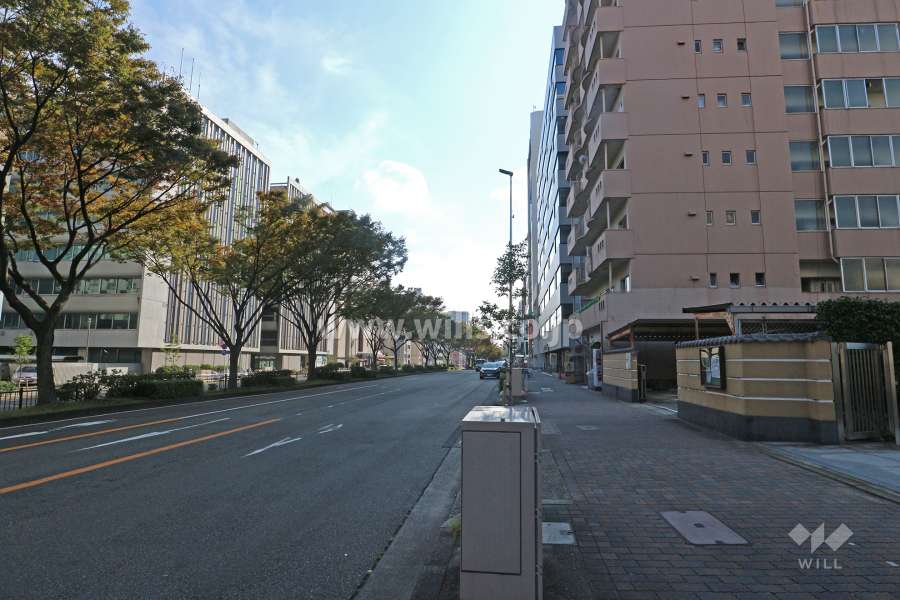 敷地東側の前面道路（北側から）