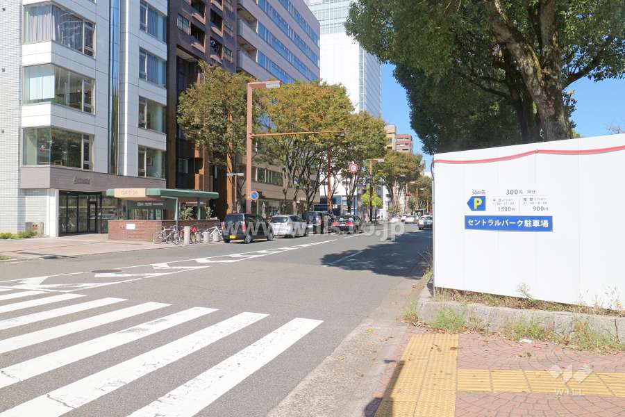 敷地南側の前面道路（東側から）