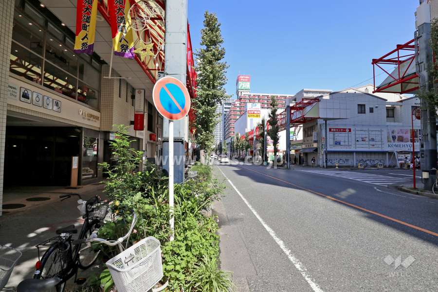 敷地東側の前面道路（南側から）