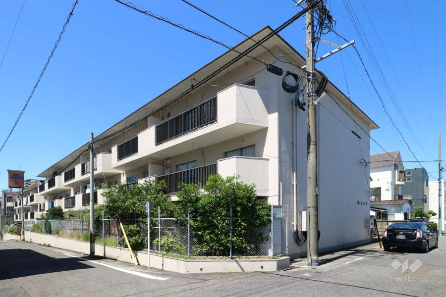 藤の上ハイツの外観（南東側から）