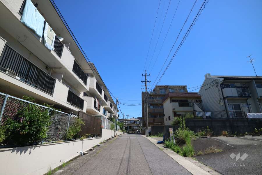 敷地の南側前面道路（西側から）