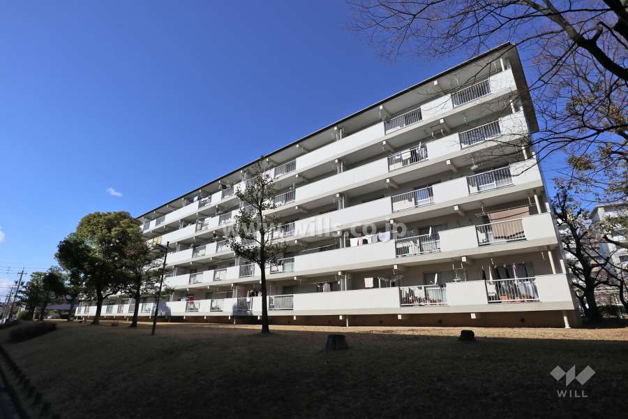 藤の木団地3号棟の外観（南東側から）