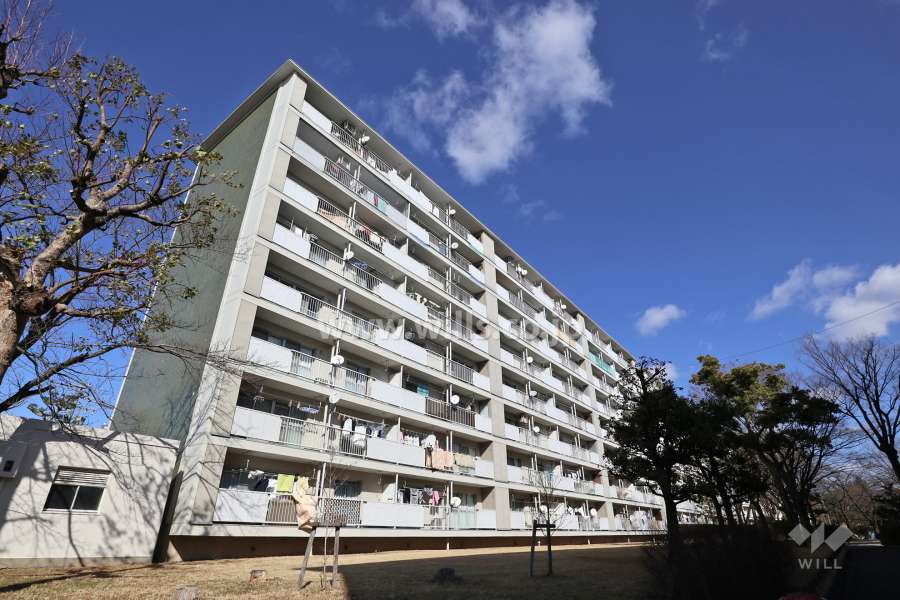 藤の木団地5号棟の外観（南西側から）