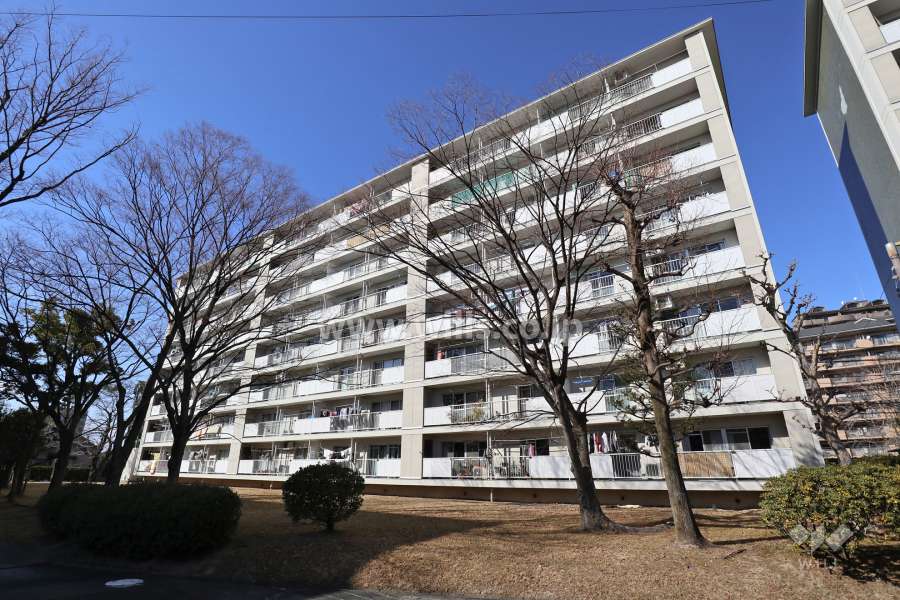 藤の木団地5号棟の外観（南東側から）