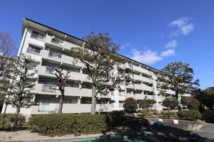 藤の木団地8号棟の外観（南西側から）